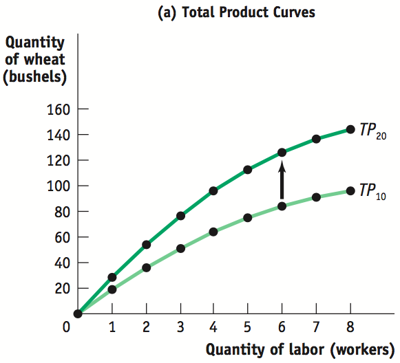 Total product curves for 10 acres and 20 acres