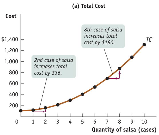Total cost curve for Selena's Gourmet Salsas